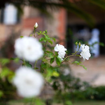 Villa Rappis Империа Екстериор снимка
