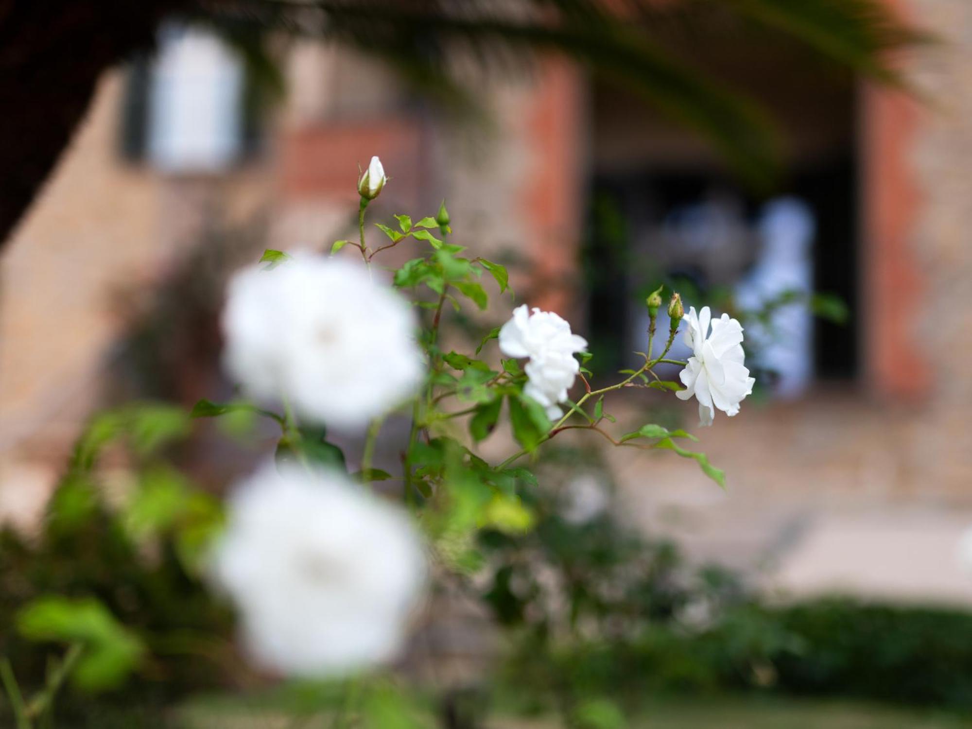 Villa Rappis Империа Екстериор снимка