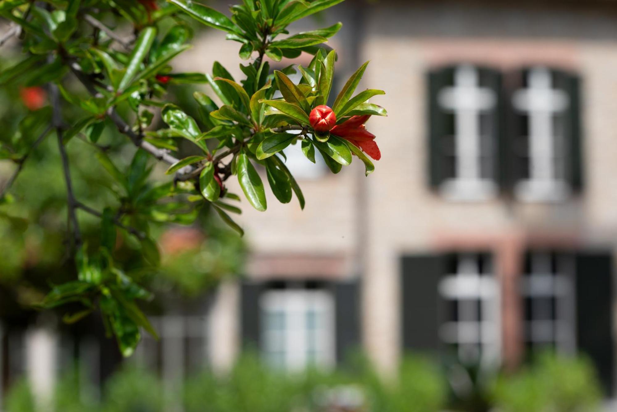 Villa Rappis Империа Екстериор снимка
