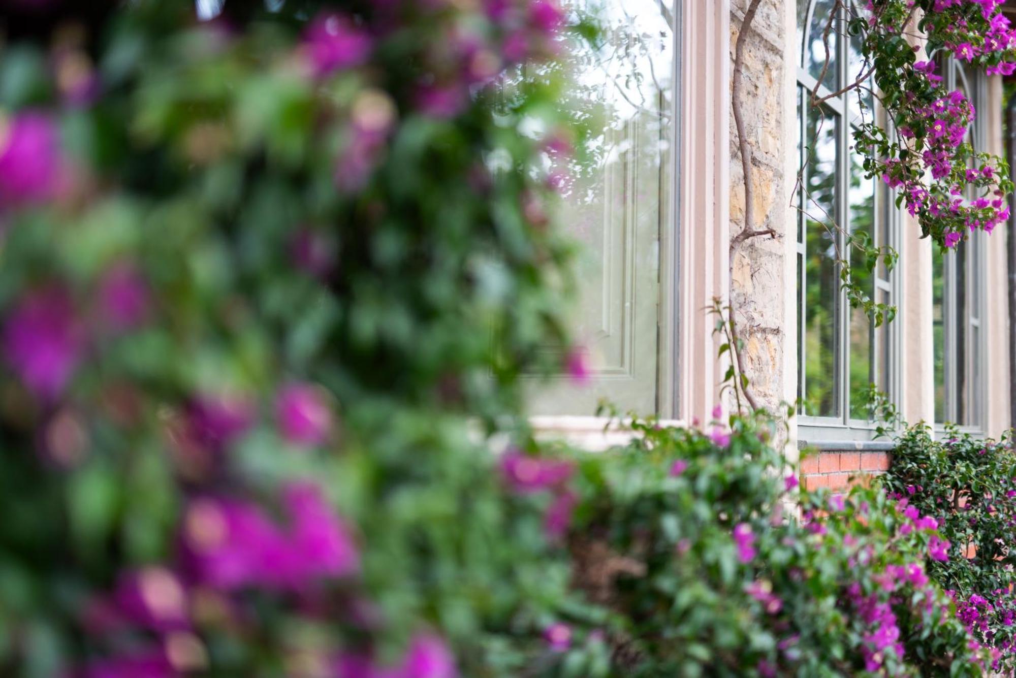 Villa Rappis Империа Екстериор снимка