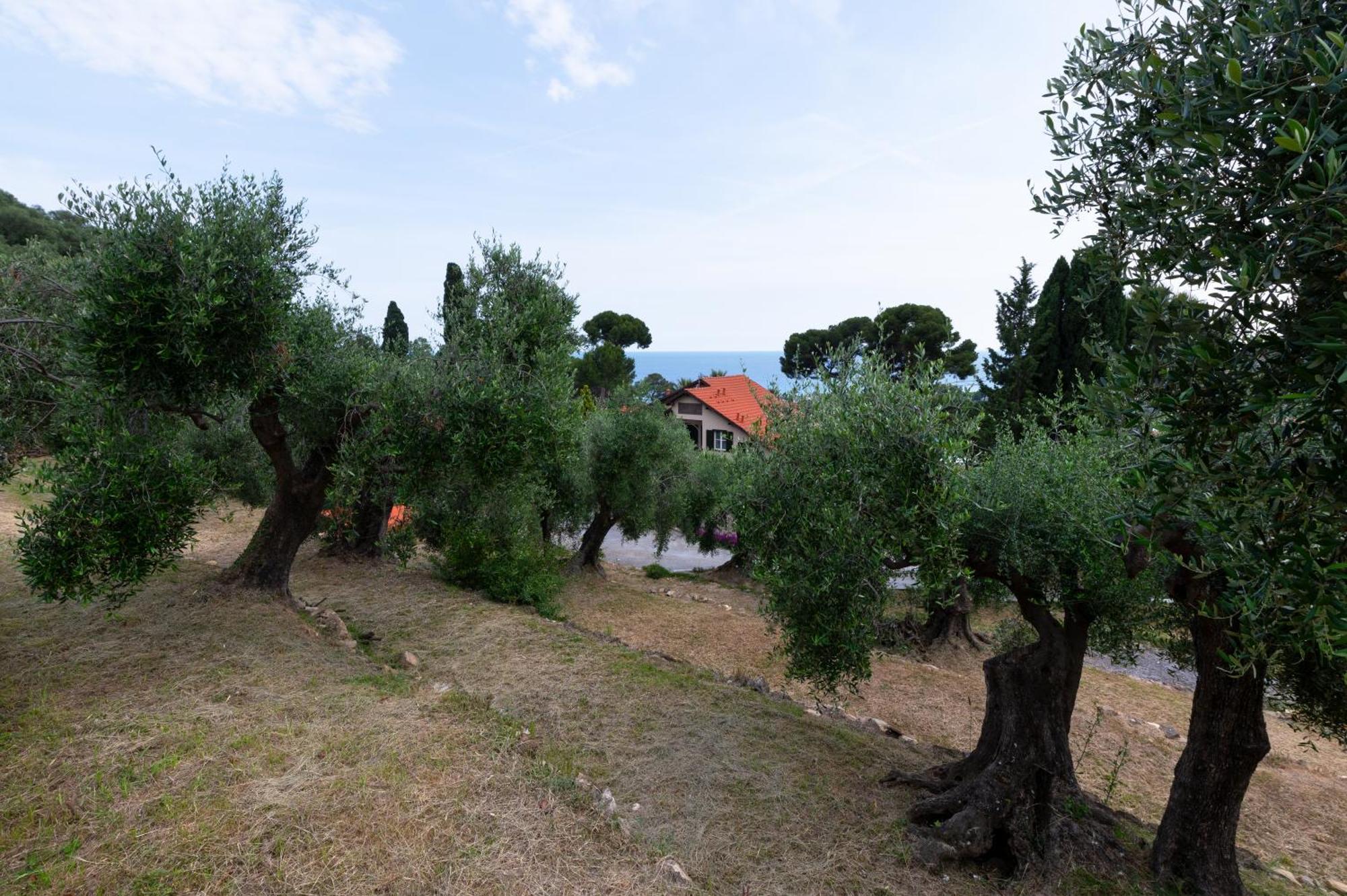 Villa Rappis Империа Екстериор снимка